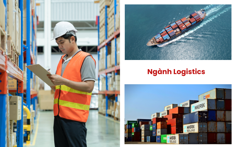 Nghề nghiệp Logistics đầy triển vọng